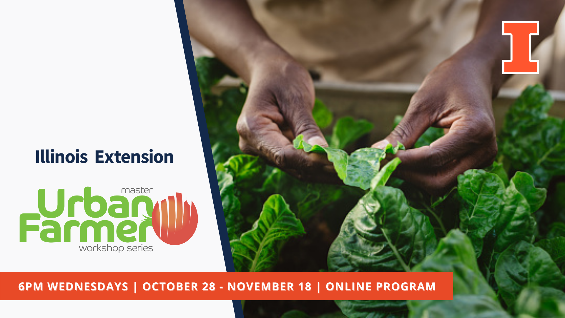 Graphic of urban farmer program with hands holding kale crop