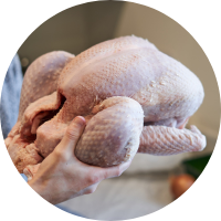 Raw turkey in hands