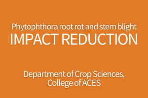 Phytophthora root rot and stem blight impact reduction. Department of Crop Sciences, College of ACES.