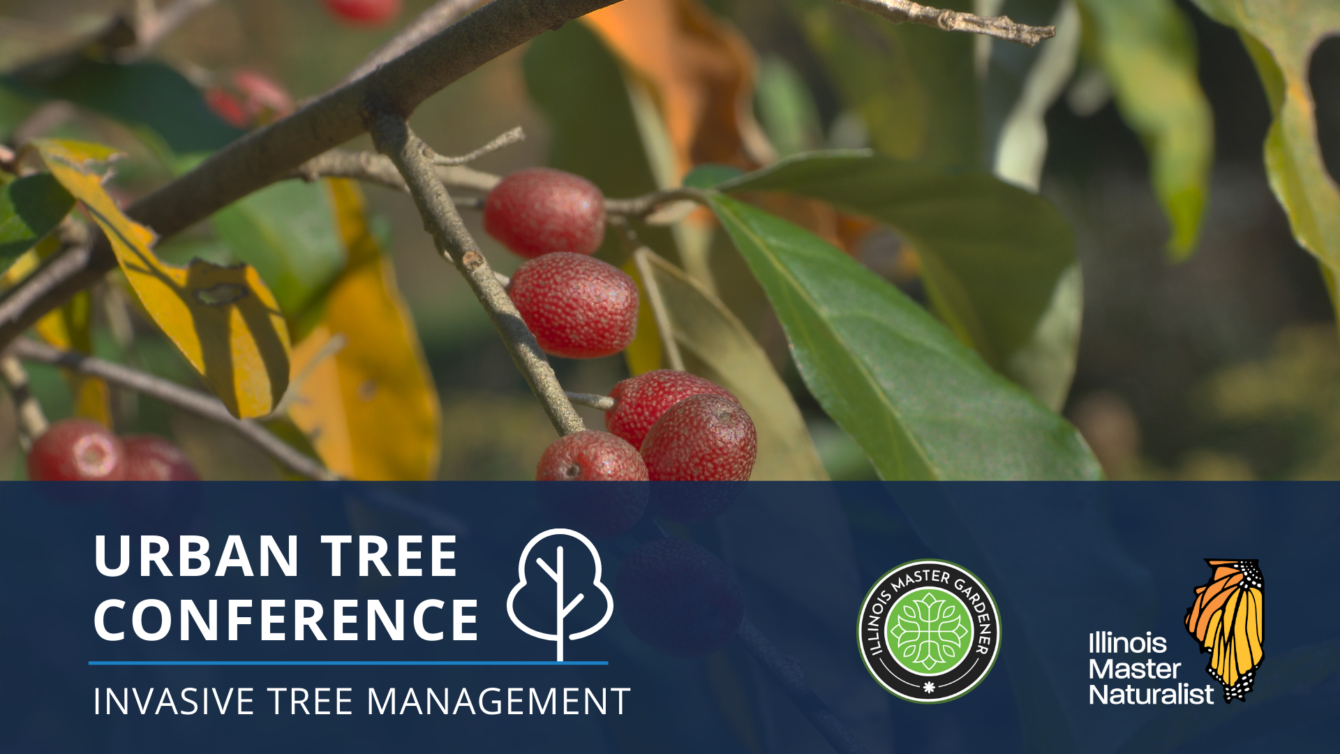 Urban Tree Conference: Invasive Tree Management