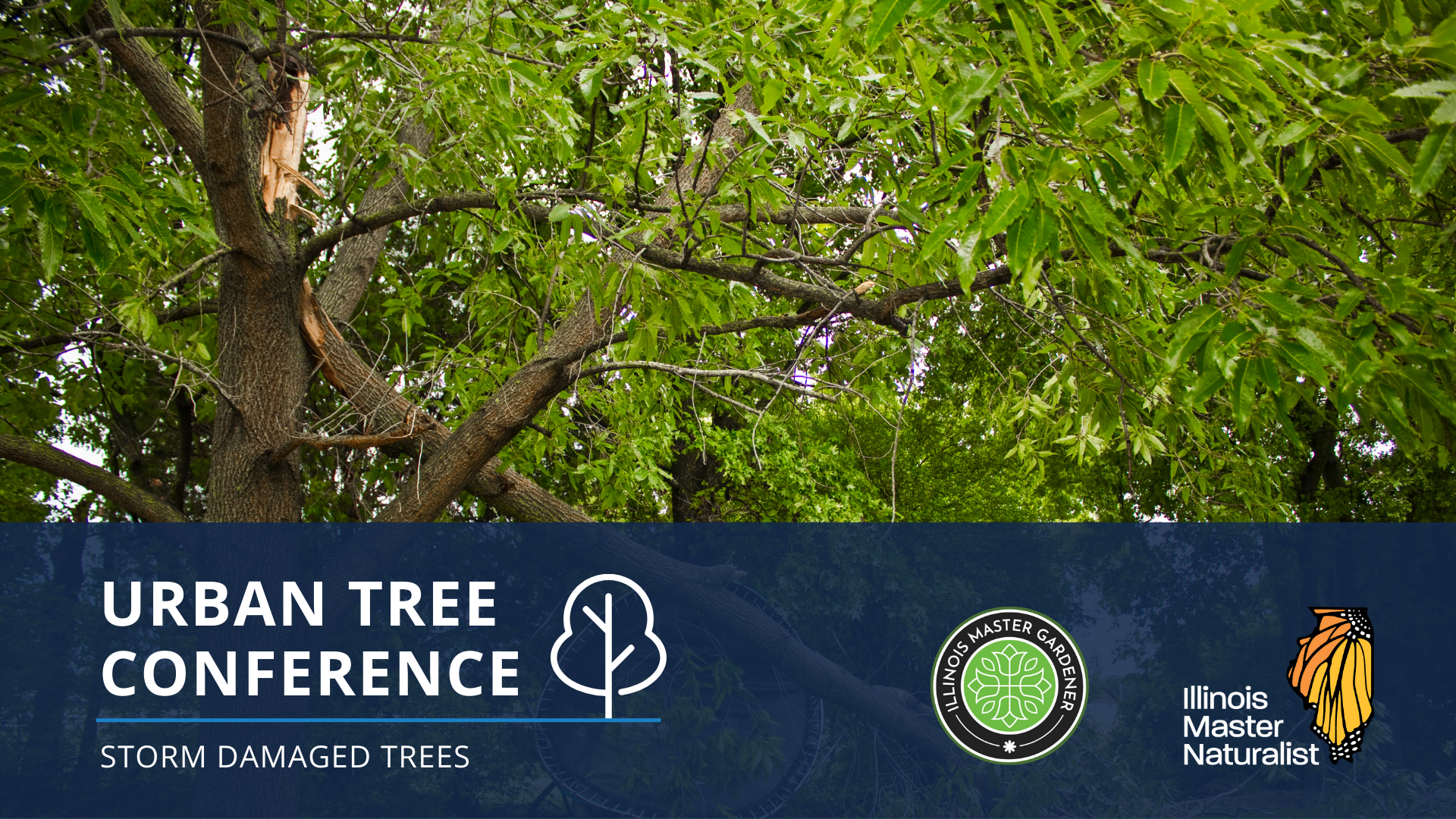 Urban Tree Conference: Storm Damaged Trees
