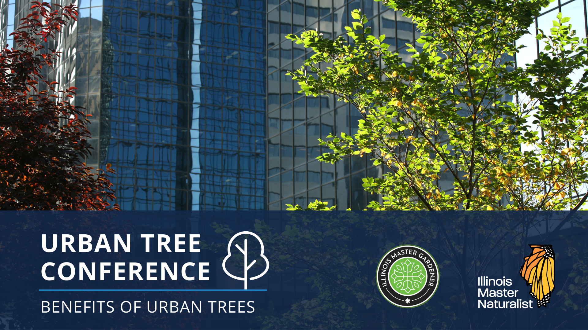 Urban Tree Conference: Benefits of Urban Trees