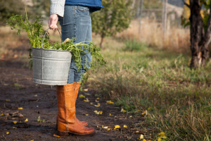 person in boots holding bucket on farm