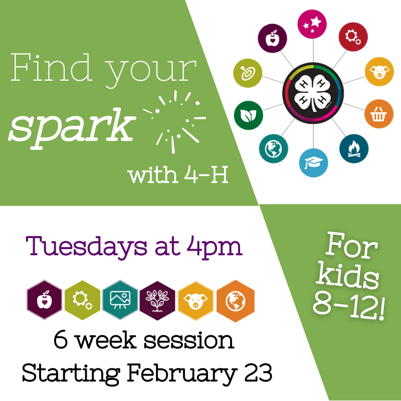 Find Your Spark With 4-H, Illinois Extension