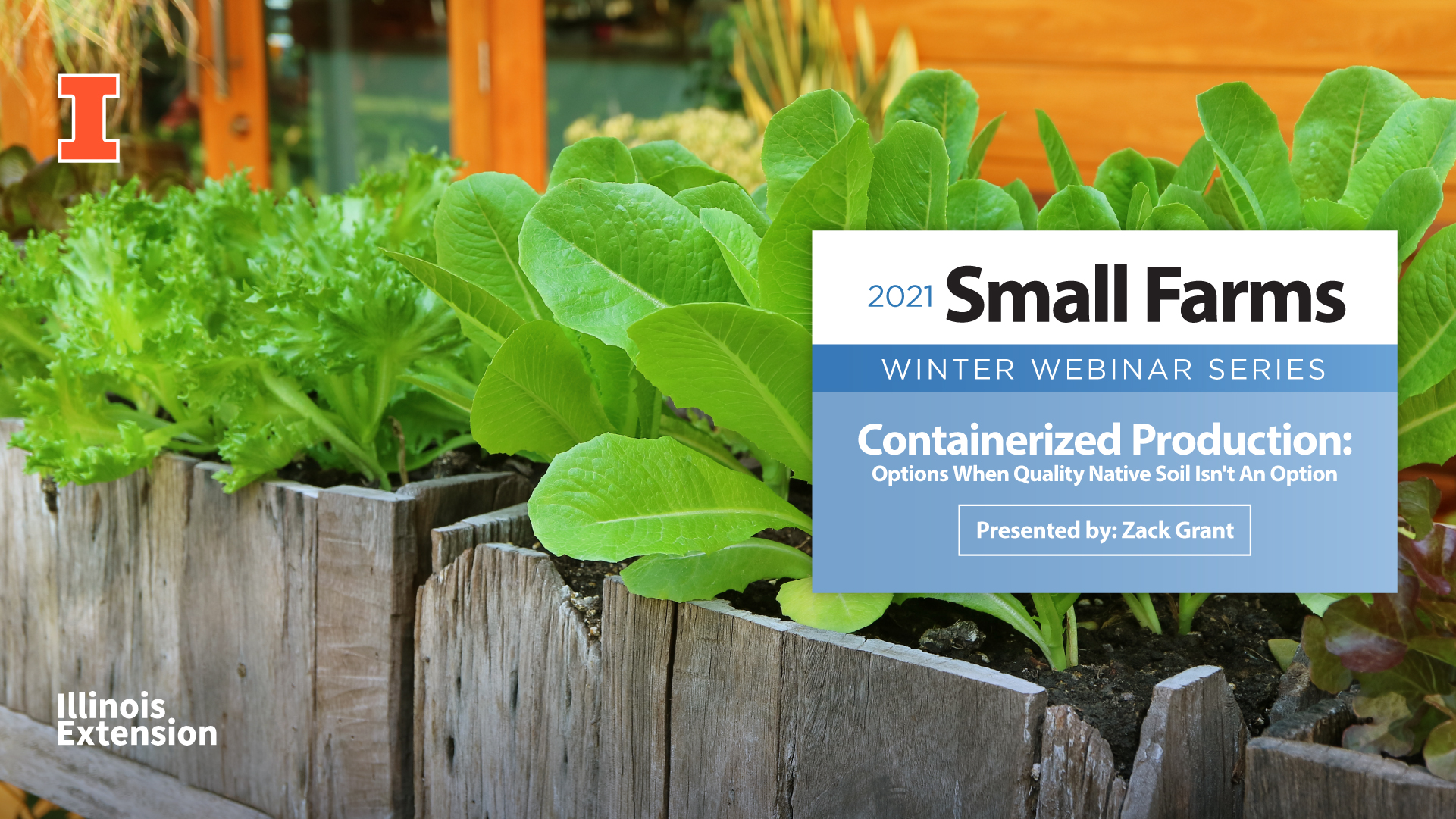 Containerized Production: Options When Quality Native Soil Isn't An Option