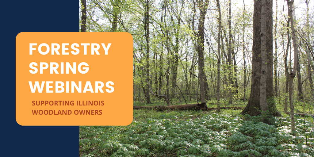 "forestry spring webinars" text over photo of trees in sunny open forest