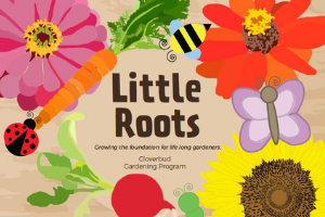 Little Roots Gardening 