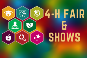 learn about the 4-H fairs and shows