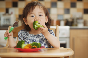 Asian toddler nibbling on broccoli 