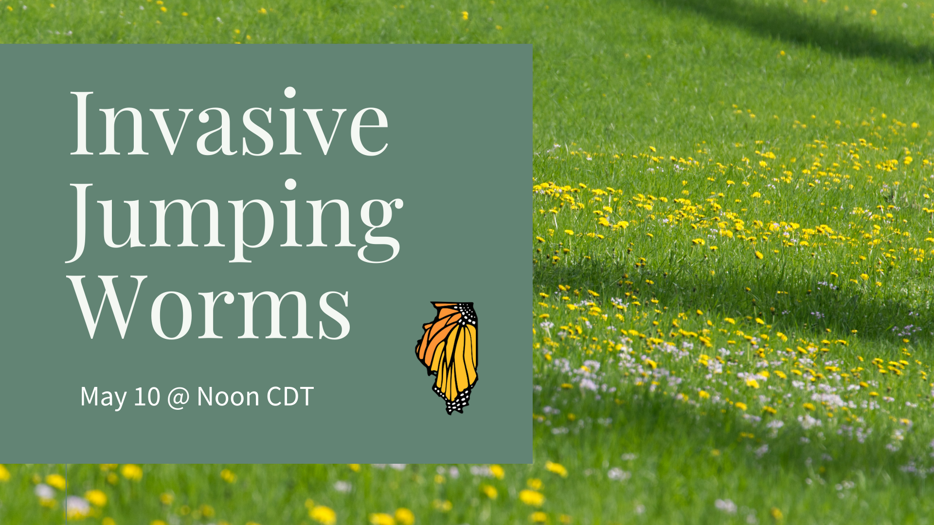 Invasive Worms