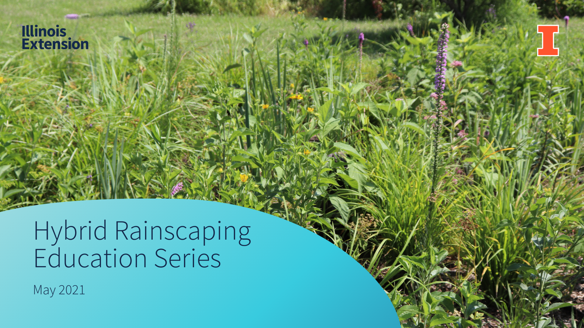 Rain garden with Hybrid Rainscaping Education Series text