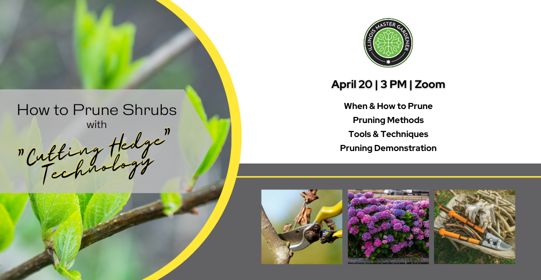 shrubs, pruners, and loppers