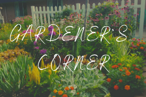 Gardener's Corner