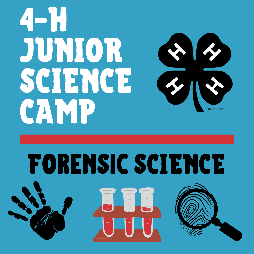 cjmmjuniorsciencecamp