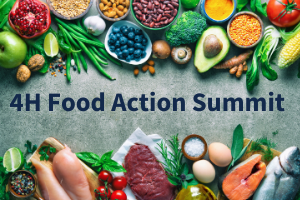 Veggies frame the slide titled  4-H Food Action Summit