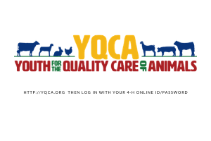 silhouette of livestock, text says YQCA 