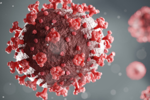 Picture of COVID-19 virus