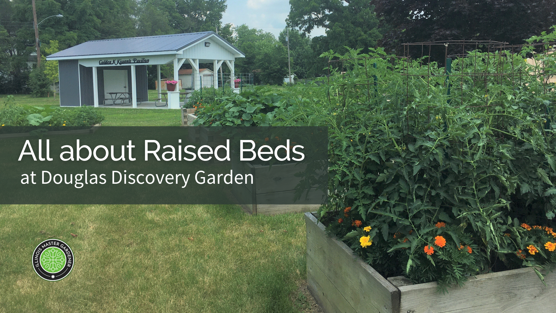 All about Raised Beds