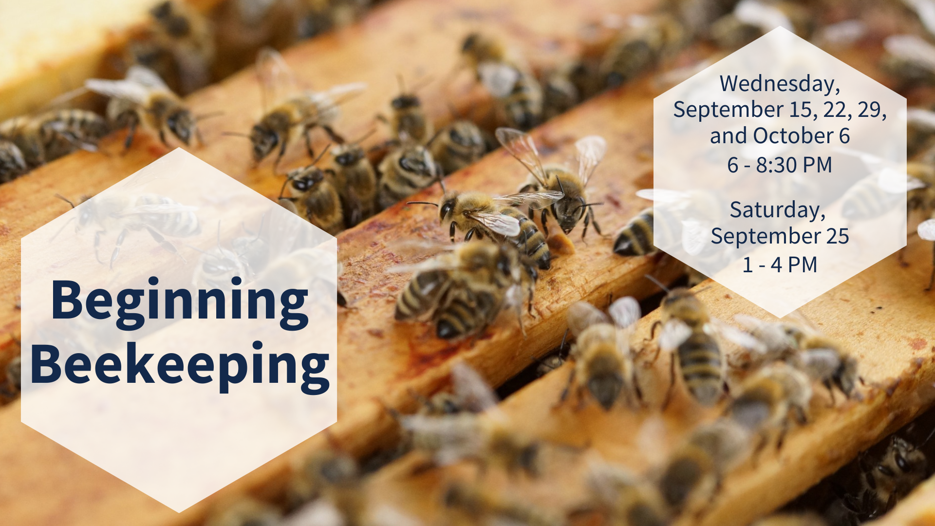 Beekeeping  N.C. Cooperative Extension