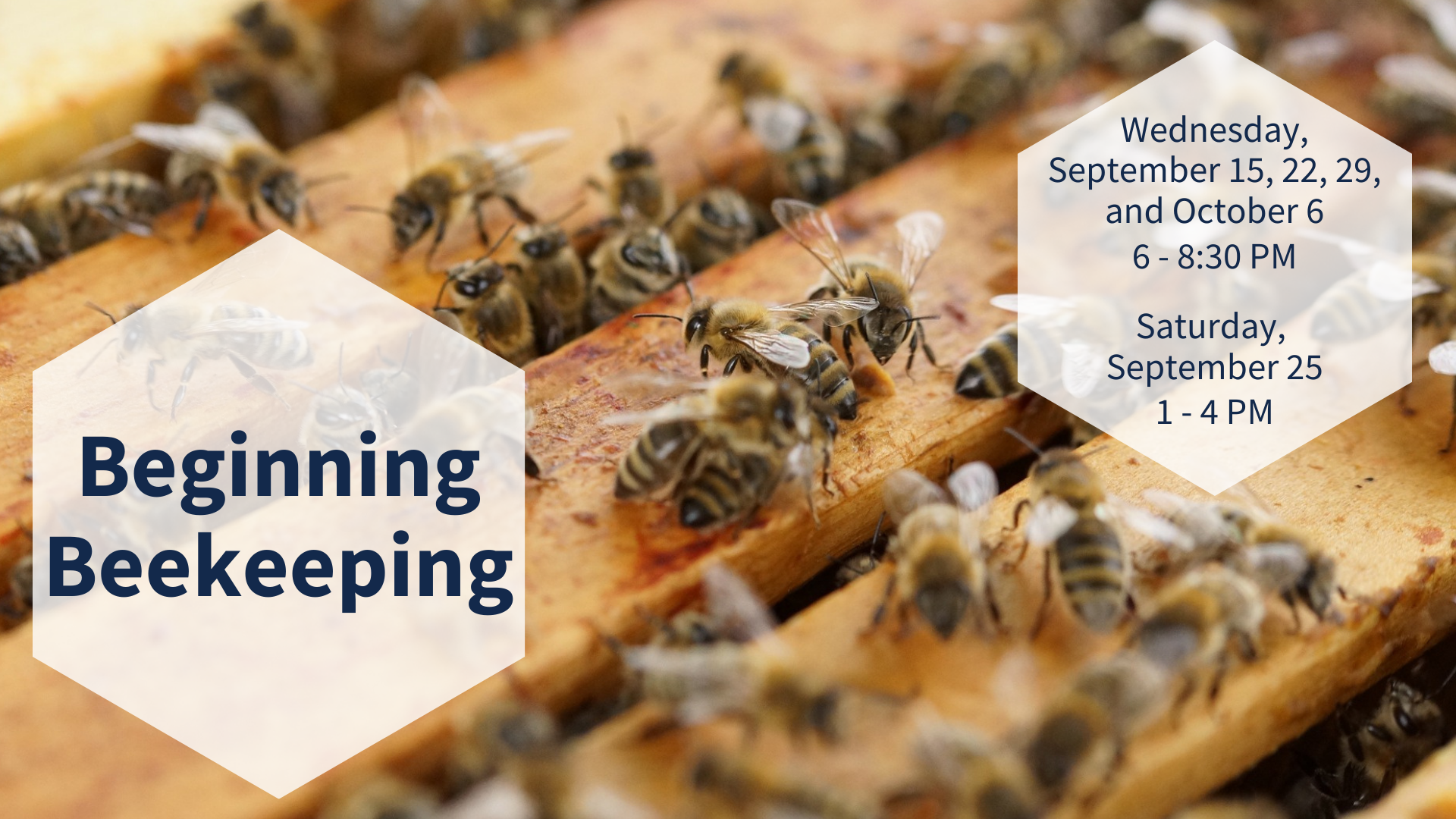 Beginning Beekeeping. Wednesday, September 15, 22, 29, and October 6 6 - 8:30 PM Saturday, September 25 1 - 4 PM