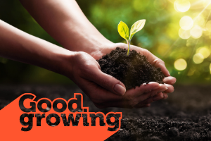Good Growing text in orange. Hands holding seedling in soil.