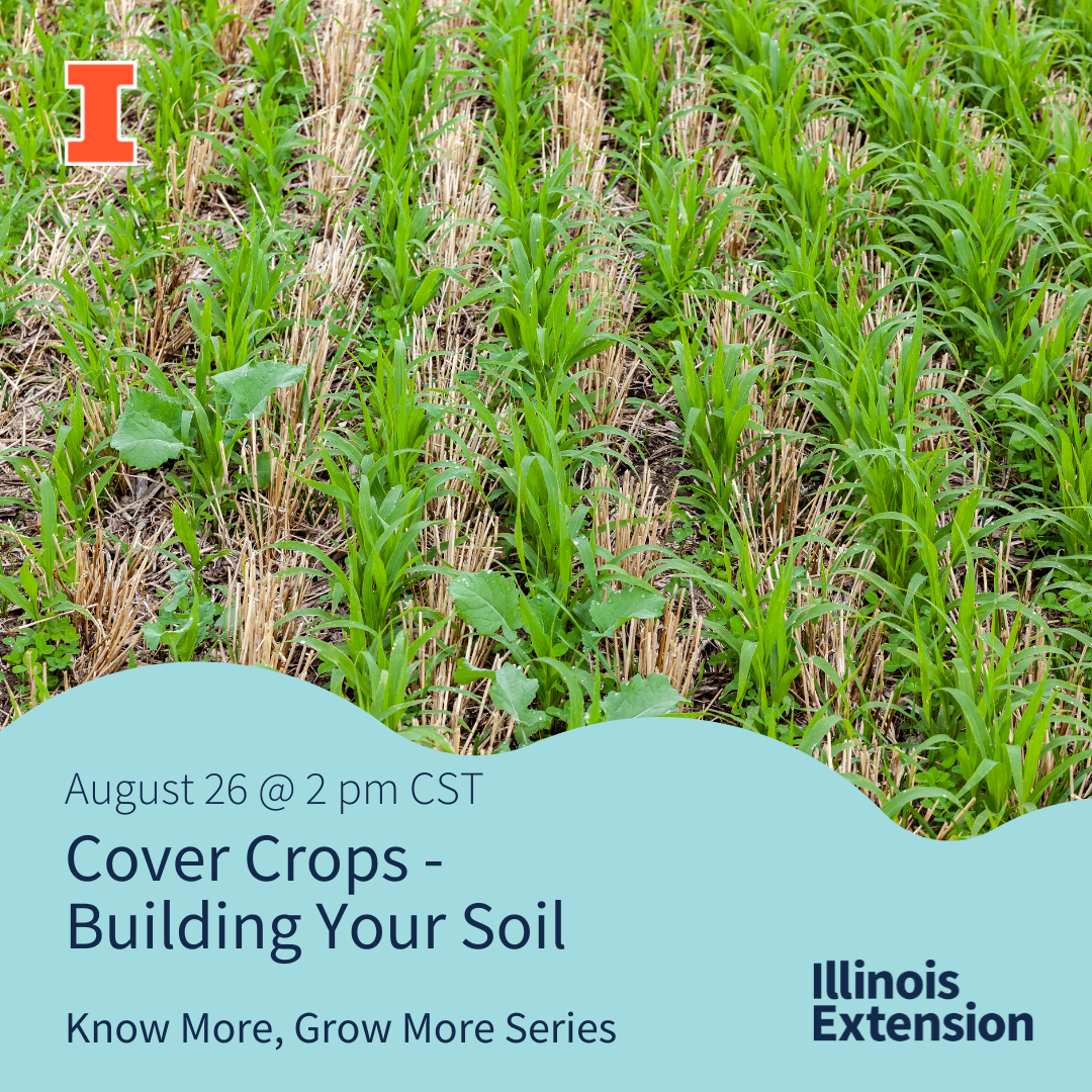 cover crops