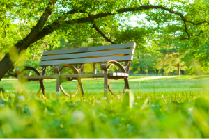 park bench in community