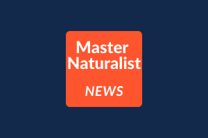 blue background with orange box that reads Master Naturalist News