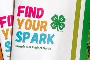 find your spark project guide