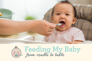Feeding my baby from cradle to table