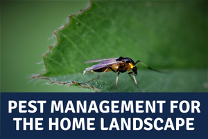 Pest Management for the Home Landscape