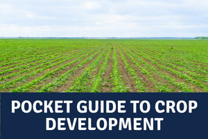 Pocket Guide to Crop Development 