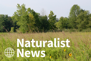 prairie grass in front of trees. text naturalist news