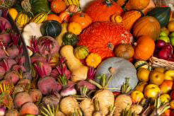 closeup of colorful beets, squash, parsnip and other vegetables