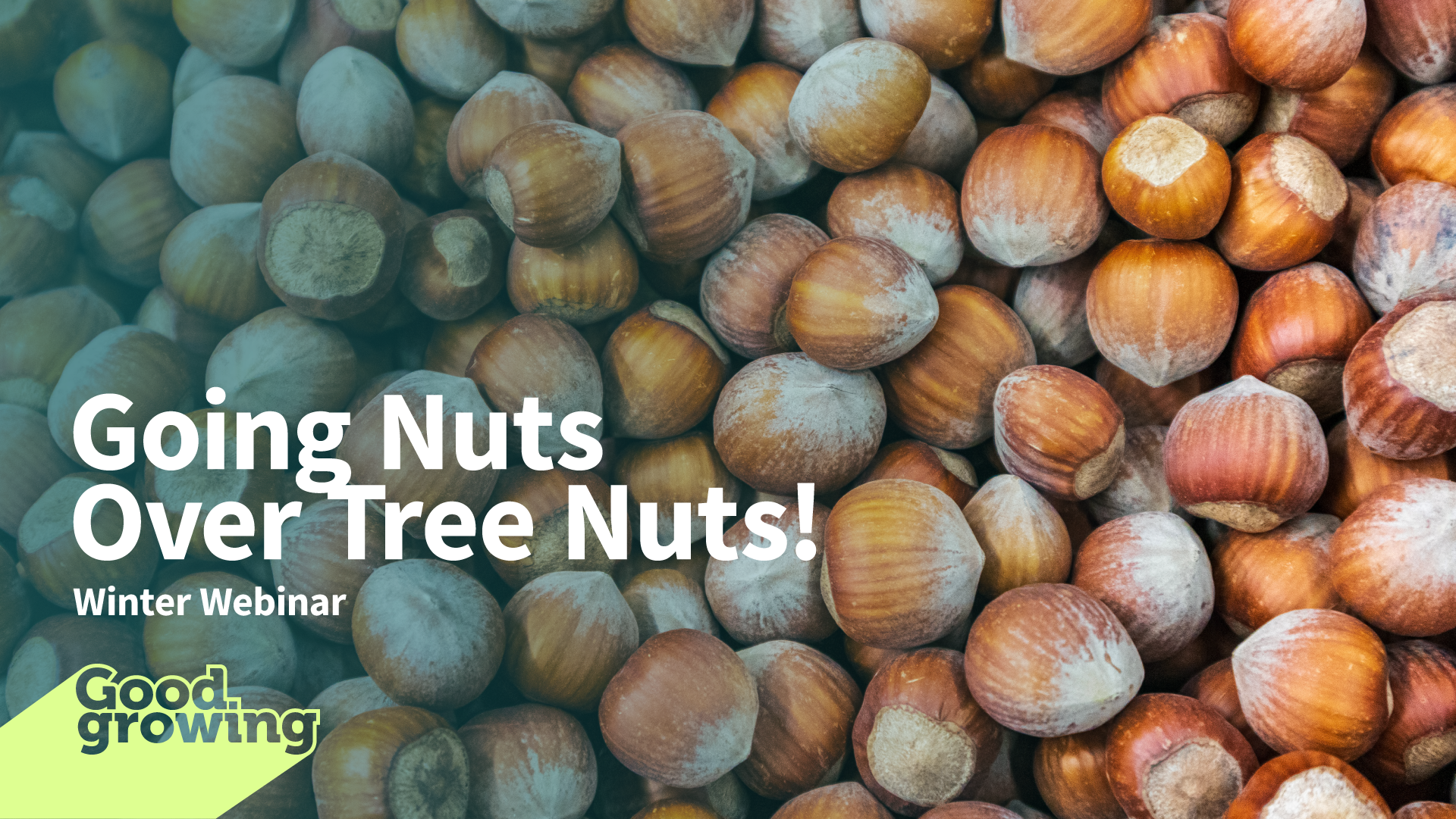 going nuts over tree nuts