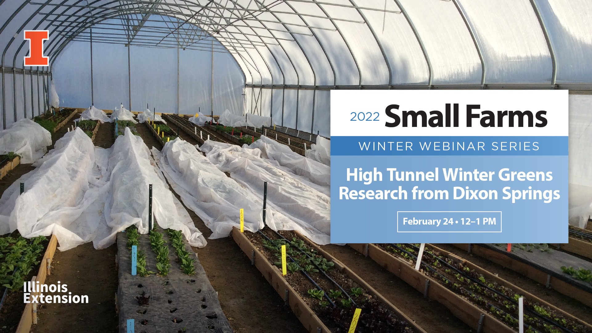 high tunnel vegetable growing
