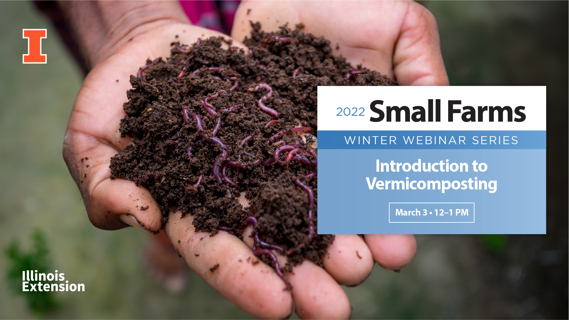worm farming vermicompost