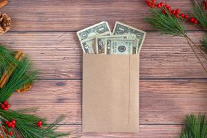 cash bills in brown envelope surrounded by evergreens