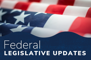 American Flag and Federal Legislative Update