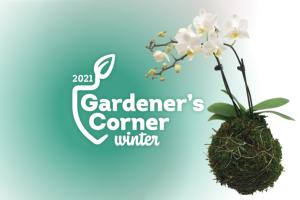 Winter 2021 Gardener's Corner