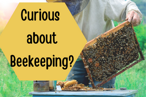 beekeeper attending hive