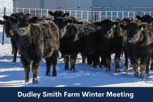 Dudley Smith Farm Winter Meeting