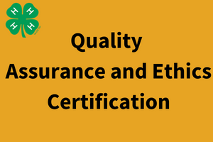 quality assurance and ethics