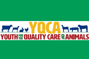 Youth for the quality care of animals logo