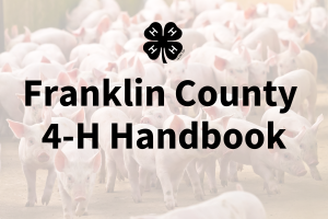 pigs in field with Franklin County 4-H Handbook text and 4-H cloverleaf emblem