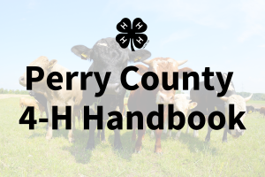 Cows grazing in field with Perry County 4-H Handbook text and 4-H cloverleaf emblem