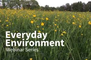 Prairie field with yellow flowers and grasses with text "Everyday Environment Webinar Series"