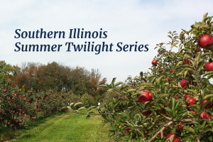 Orchard with "Southern Illinois Summer Twilight Series" text