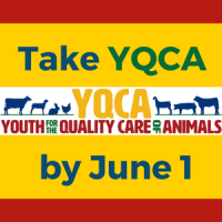 Take YQCA by June 1