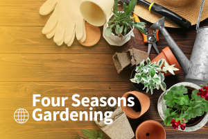 plants, clay pots, watering can, gardening gloves